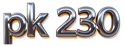 pk 230 logo